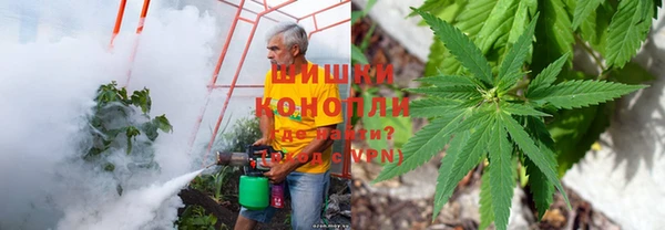 марихуана Абаза