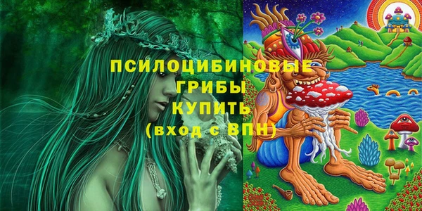 марихуана Абаза