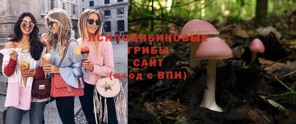СК Алексин