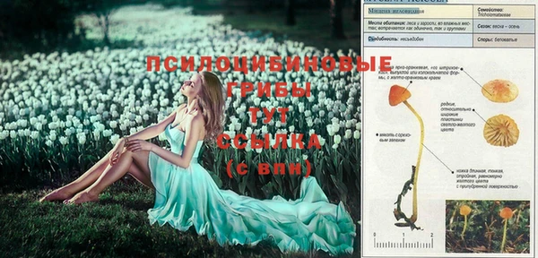 кокаин перу Абинск